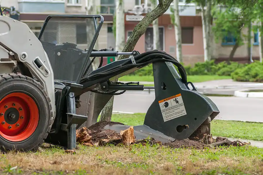 Tree Stump Removal