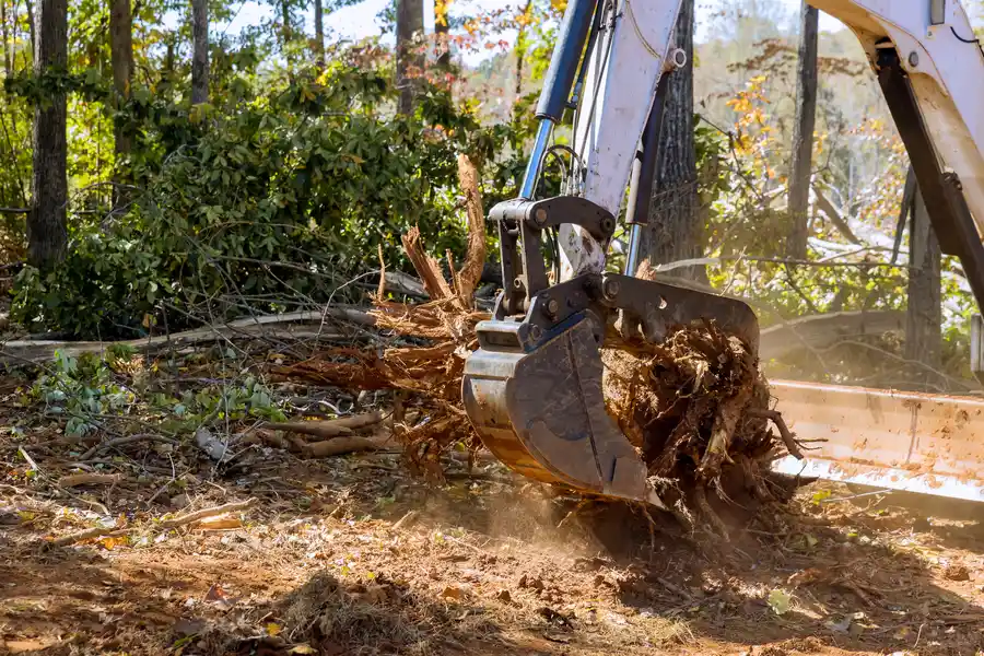 Premium Tree Stump Removal Memphis, TN Premium Tree Stump Removal Memphis, TN